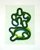 scorpiurus green