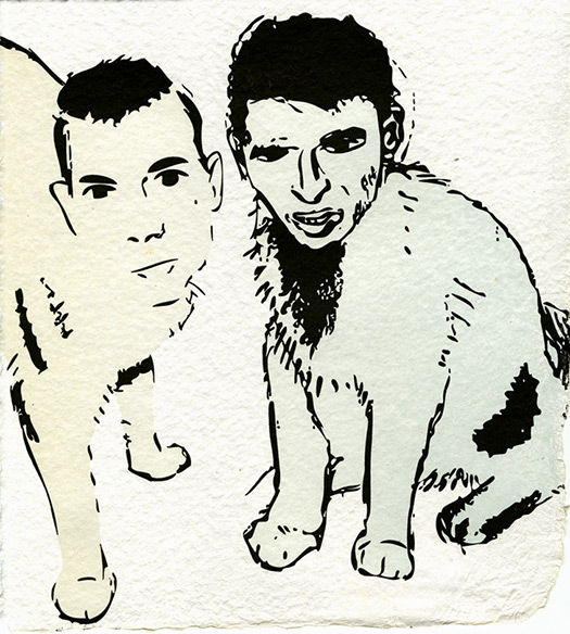 Cat Pair