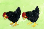 Double Rooster thumb